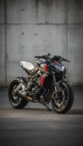Alloy X streetfighter titanium build
